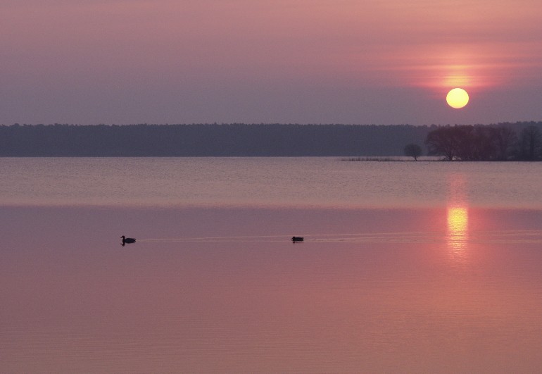 3 am fr&uuml;hen Morgen.Wer zeitig aufsteht hat mehr vom Tag am M&ouml;sersee.