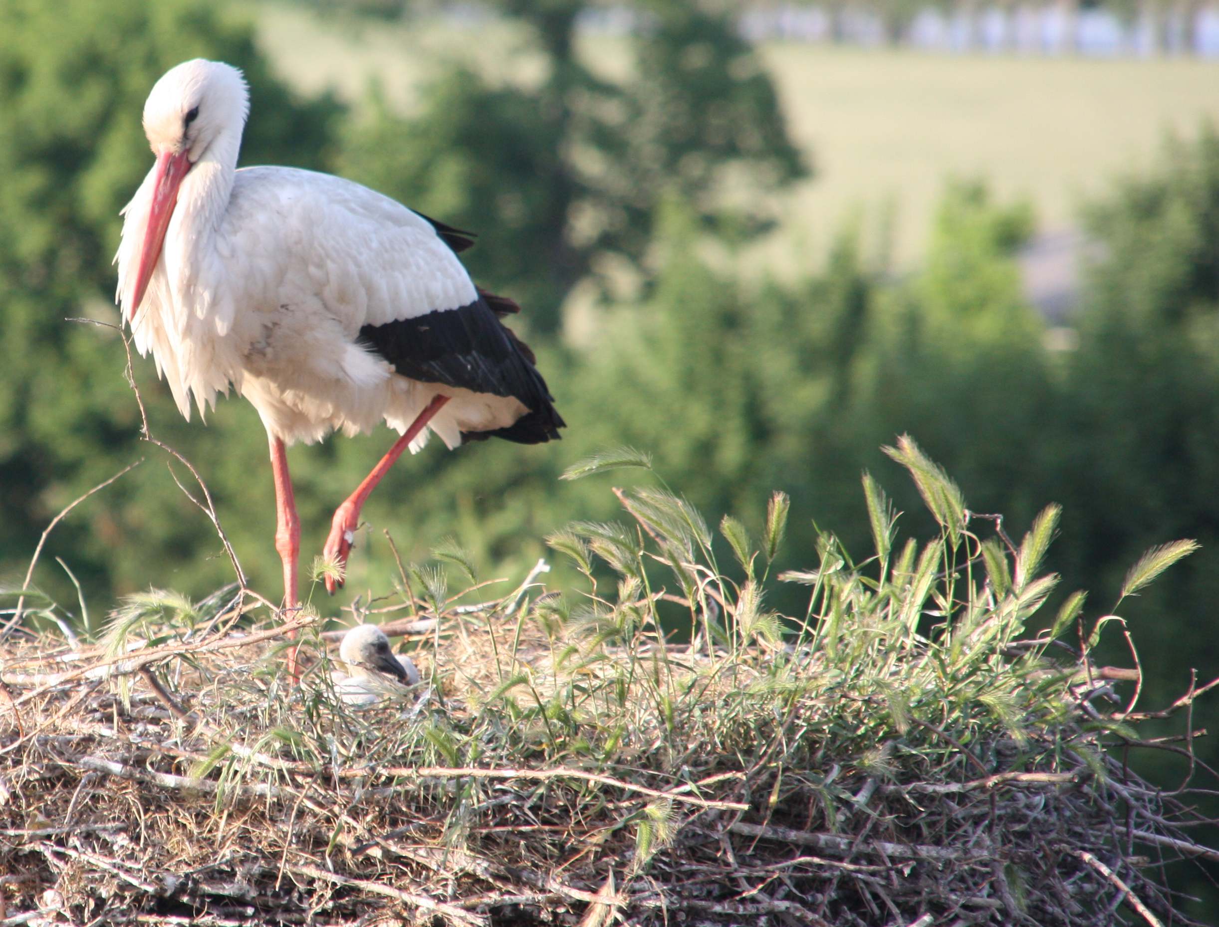 Immer sch&ouml;n vorsichtig !
