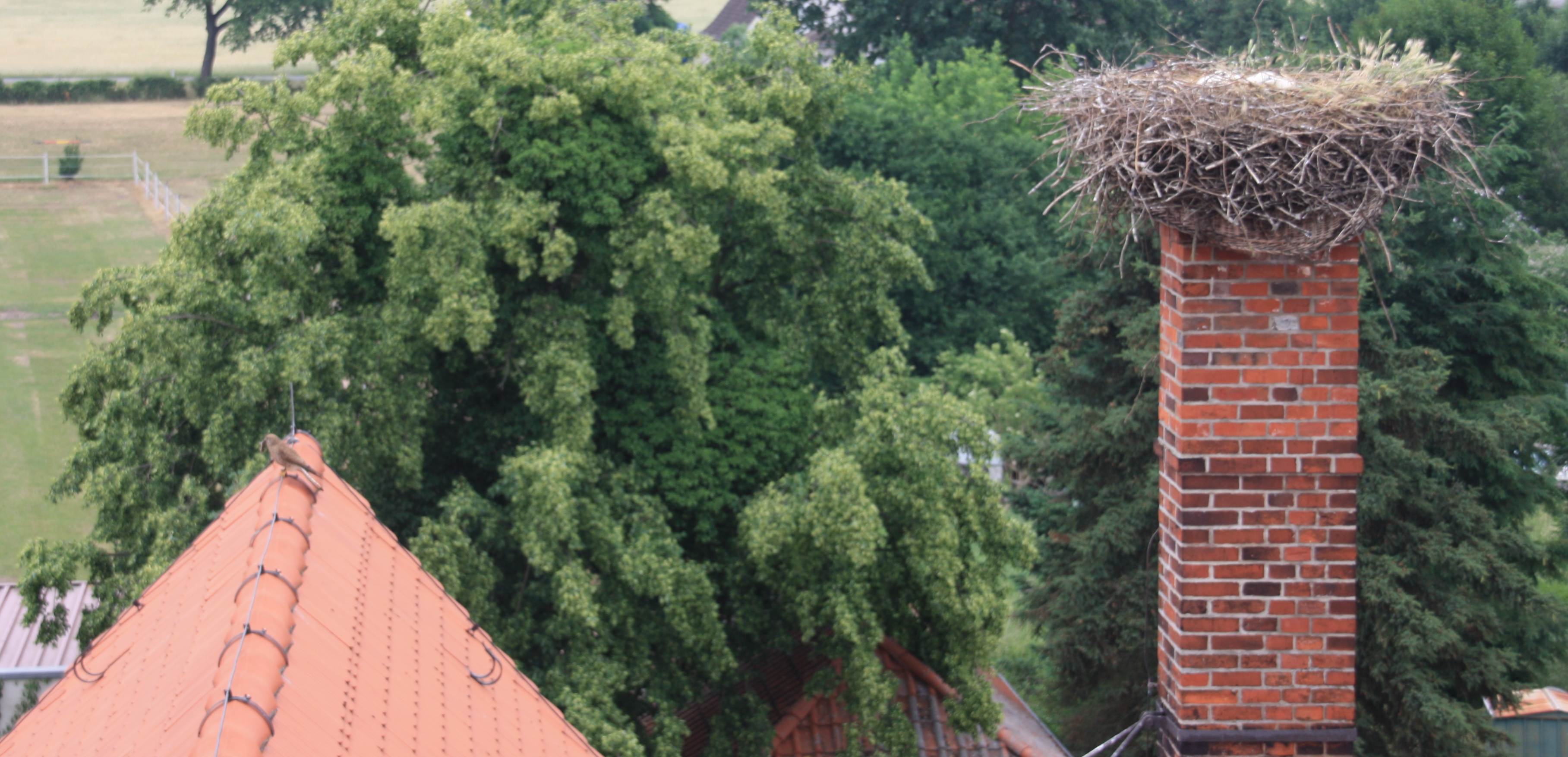 Achtung Gefahr auf dem Dach , leblos stellen und nicht bewegen !