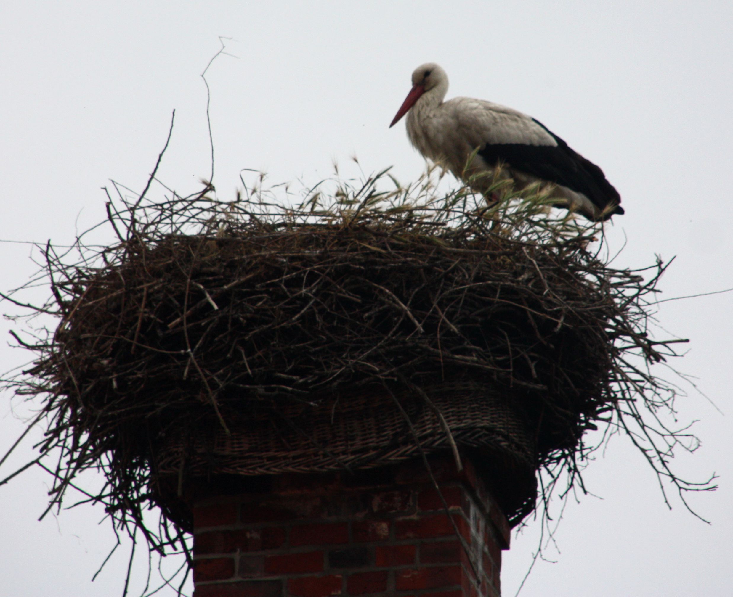 Alles in Ordnung, das habt ihr gut gemacht