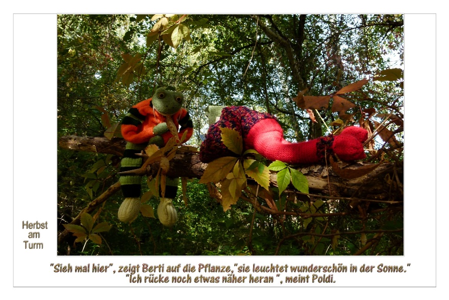 Berti entdeckt leuchtende Bl&auml;tter