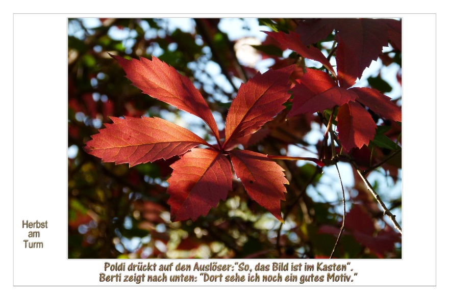 Leuchtende Bl&auml;tter