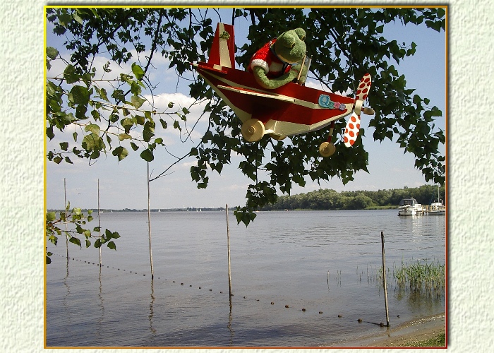 "Da hinten , am Zaun, dort mu&szlig; ich runter",entscheidet Kurti