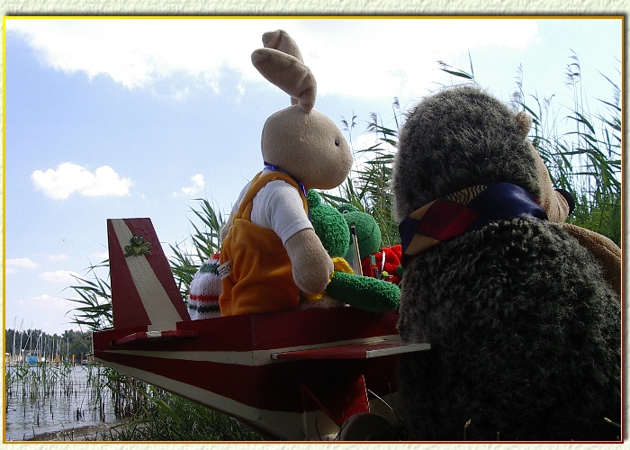 Hase Hoppel wei&szlig; Rat:"Hinter dem Feld ist ein Flugplatz,bestimmt hilft man uns"