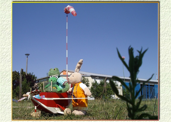 Verschnaufpause f&uuml;r Hase Hoppel. "Das war schwer zu schieben" seufzt er.