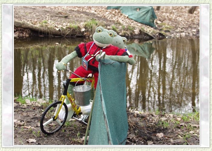 Fridolin und Kurti sind mit ihrem Tandem zur Hilfe eingetroffen. "Wir haben noch einen Eimer mitgebracht", sagt Fridolin. Kurti klopft Fridolin auf die Schulter: "Ich h&ouml;re Hilferufe vorn am Zaun". Fridolin schaut genauer hin: "Ja, ich sehe einen kleinen Frosch im Eimer sitzen".