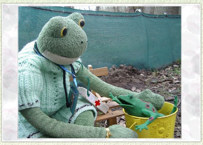 "Du bekommst nach der Untersuchung eine Kopfschmerztablette und musst diese mit viel Wasser einnehmen", sagt Poldi. "Vielen Dank f&uuml;r eure Hilfe, bestimmt geht es mir dann wieder besser" , entgegnet der kleine Frosch.