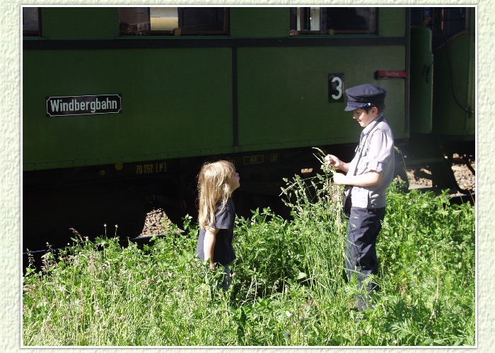 Blumen pfl&uuml;cken war w&auml;hrend der Fahrt nicht m&ouml;glich, wird aber hier w&auml;hrend eines kurzen Aufenthaltes in Nossen nachgeholt.