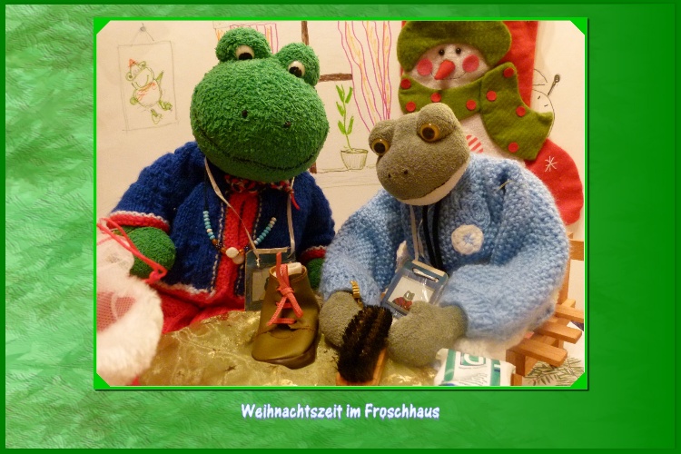 "Du putzt heute deine Schuhe aber besonders gr&uuml;ndlich", wundert sich Mondi &uuml;ber Fridolini."Ich habe immer saubere Schuhe, au&szlig;erdem ist in wenigen Tagen der 6.Dezember. An diesem Tag sucht sich der Nikolaus die saubersten Schuhe der Kinder aus und nur in diese wird er ein Geschenk stecken. Bestimmt kommt er auch im Froschhaus vorbei", entgegnet Fridolin. "Das stimmt, ich habe auch daran gedacht," meint Mondi.