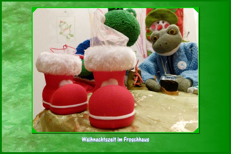 "Hier sind die Schuhe,"sagt Mondi stolz,"ich habe sie im LADEN AM&nbsp;TEICH f&uuml;r nur 40 Froschtaler kaufen k&ouml;nnen. Das Schuhe putzen kann ich mir sparen und gro&szlig; sind die Schuhe auch, wir m&uuml;ssen doch an unsere Freunde denken.In diese Schuhe passen doch viel mehr Geschenke als in deine kleinen Schuhe."Fridolin zweifelt etwas:"Hoffentlich sieht der Nikolaus das auch so, wir werden das in K&uuml;rze erleben.Ich bin gespannt."