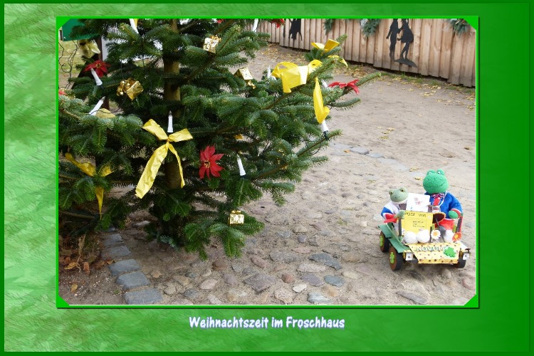 Nach kurzer Fahrt stoppt Mondi das Auto:"Sieh mal , hier steht schon ein Weihnachtsbaum, den schaue ich mir n&auml;her an." Kurti :"Ich komme mit, hier dr&uuml;ben steht ein Geb&auml;ude, dort wohnt vielleicht der Weihnachtsmann."