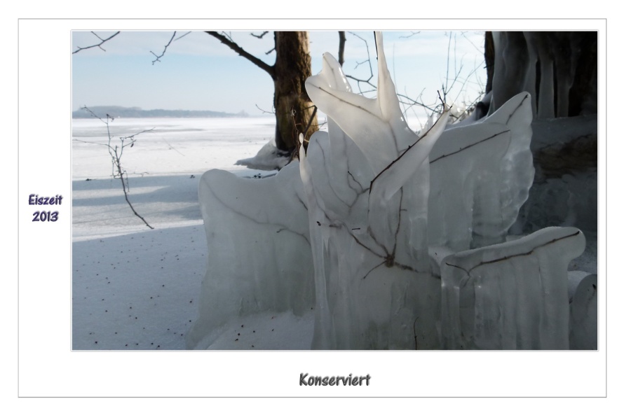 Konserviert