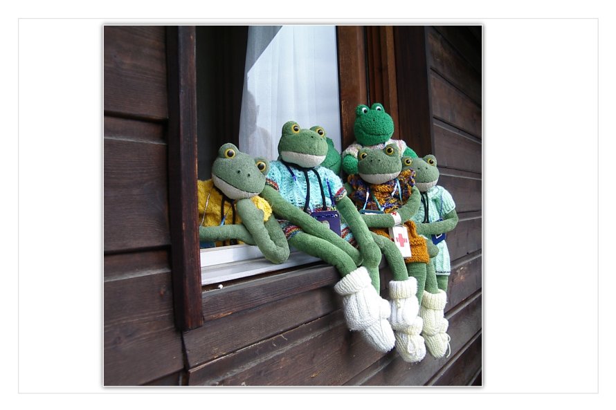 Sorgenvoll blicken Kurti, Fridolin und ihre Freunde nach drau&szlig;en. Die Abendbrotzeit ist ran , aber wo ist Mondi? Kurti entscheidet: "Wir m&uuml;ssen Mondi suchen, der Nebel wird immer dichter" .Fridolin ruft: "Ich komme mit, ich hole schnell ein Seil und den Eispickel".Kurti:"Ich gehe schon zum Auto, wir haben nicht viel Zeit." Berti f&auml;llt noch ein:."Das Fernrohr nicht vergessen, bestimmt k&ouml;nnt ihr es gebrauchen."