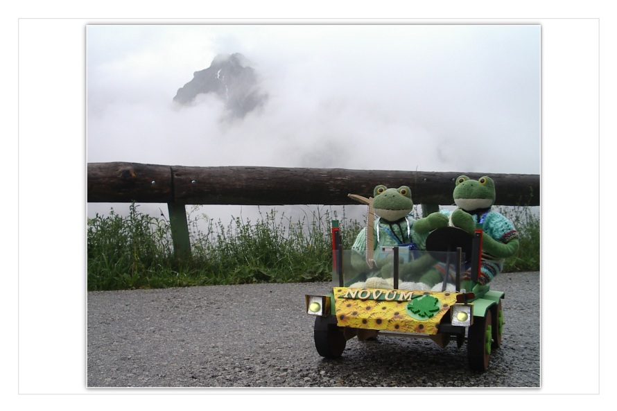 "Schau mal",ruft Kurti aufgeregt ," die Berge sind wieder zu sehen!" Fridolin schaut sich um: "Dort dr&uuml;ben ist ein Felsen, da kann ich das Fernrohr auflegen und die Berge absuchen."