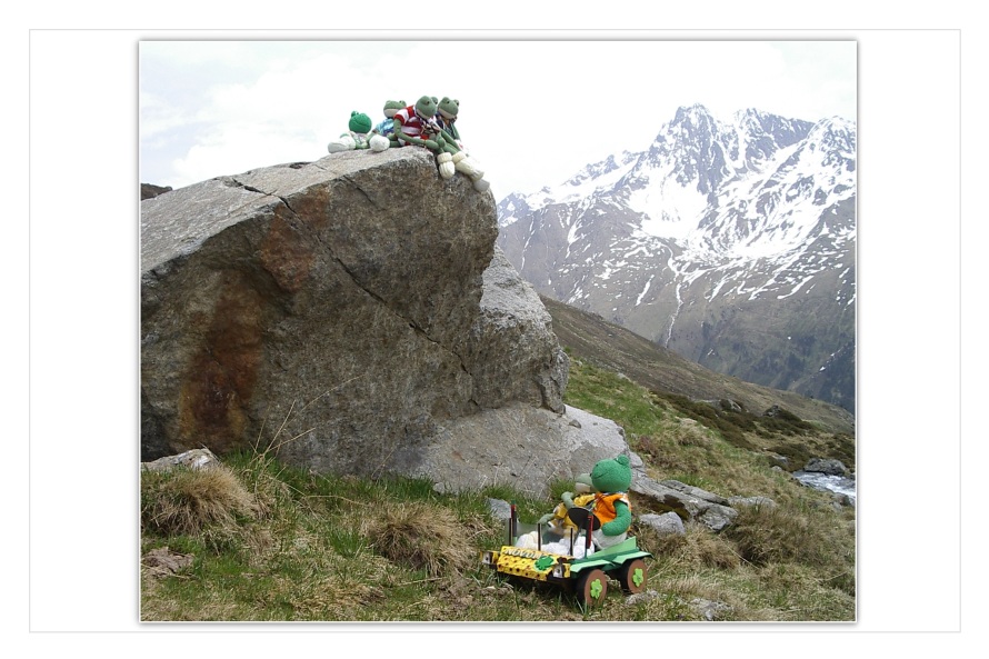 Mondi wird von seinen Freunden schon sehns&uuml;chtig erwartet. "Na endlich", rufen sie, "das n&auml;chste Mal gehst du aber nicht allein in die Berge. Wir werden dich begleiten".