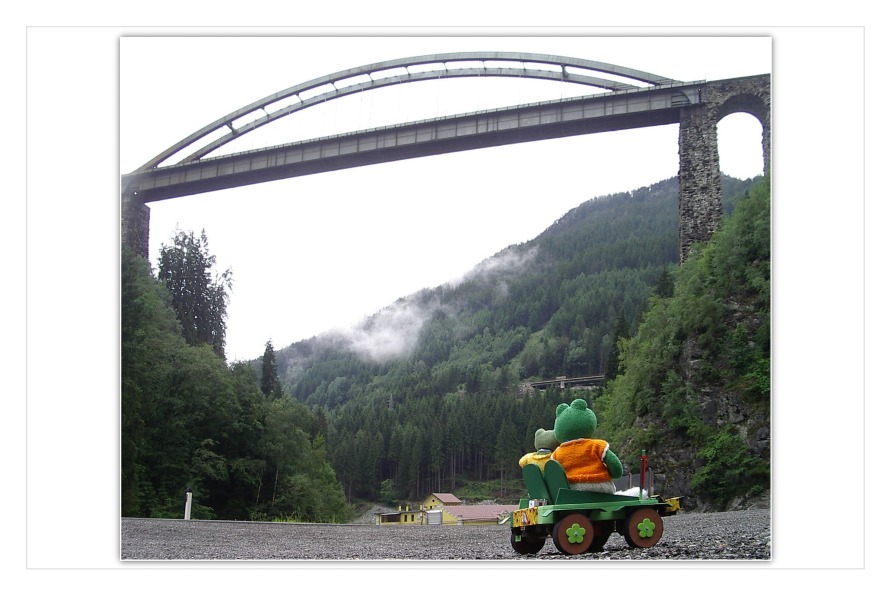 Kurti und Mondi haben noch diese gro&szlig;e Br&uuml;cke entdeckt. "Ganz da oben fahren die Z&uuml;ge, wenn wir etwas warten kommt vielleicht ein Zug", sagt Kurti. "Wir haben doch noch Zeit, warten wir einfach. Versuch doch den Zug zu fotografieren , wenn er &uuml;ber die Br&uuml;cke f&auml;hrt", schl&auml;gt Mondi vor. "Das wird nicht einfach sein , aber ich probiere es",stimmt Kurti zu.