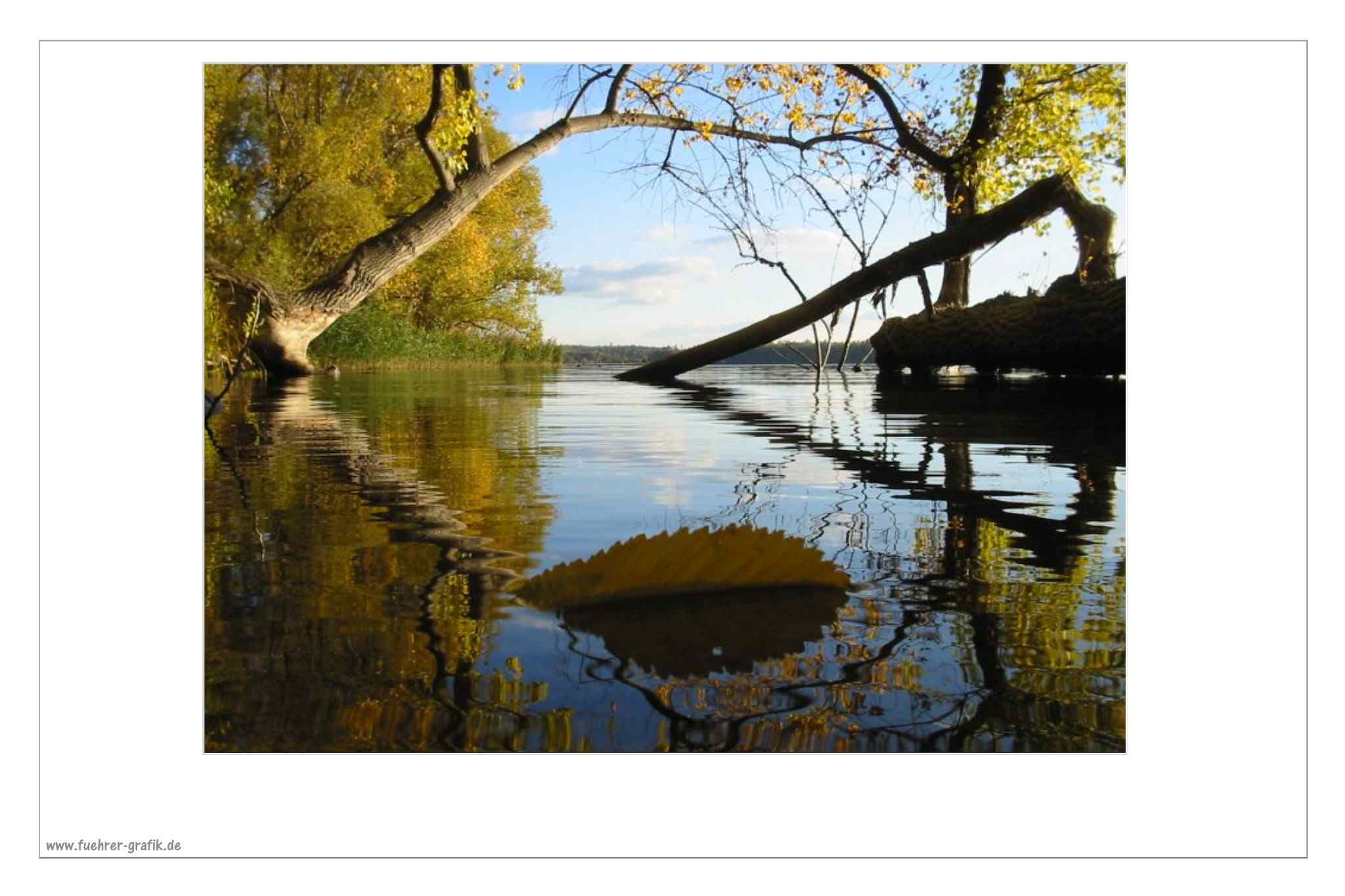 Herbstliche Impressionen