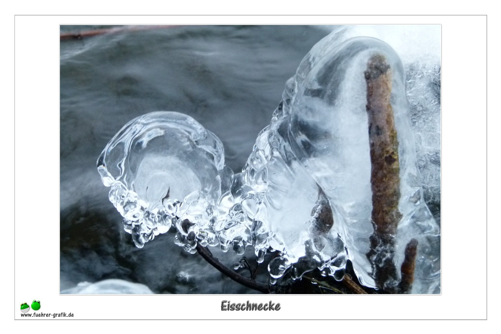 Eisschnecke
